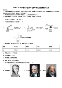 2025-2026学年辽宁省葫芦岛市中考试题猜想化学试卷（含答案解析）