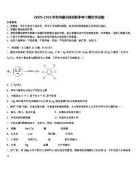 2025-2026学年内蒙古自治区中考三模化学试题（含答案解析）