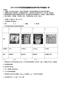 2025-2026学年青海省海南藏族自治州中考化学考前最后一卷（含答案解析）