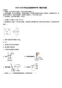 2025-2026学年山东省滨州市中考一模化学试题（含答案解析）