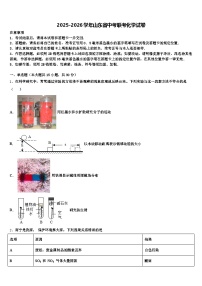 2025-2026学年山东省中考联考化学试卷（含答案解析）
