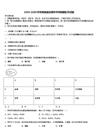 2025-2026学年陕西省安康市中考四模化学试题（含答案解析）