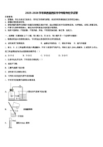 2025-2026学年陕西省西安市中考联考化学试卷（含答案解析）