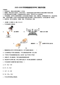 2025-2026学年陕西省延安市中考二模化学试题（含答案解析）