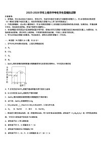 2025-2026学年上海市中考化学全真模拟试卷（含答案解析）