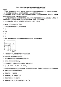 2025-2026学年上海市中考化学全真模拟试卷（含答案解析）