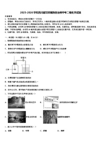 2025-2026学年四川省甘孜藏族自治州中考二模化学试题（含答案解析）