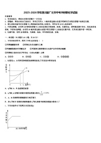 2025-2026学年四川省广元市中考冲刺卷化学试题（含答案解析）