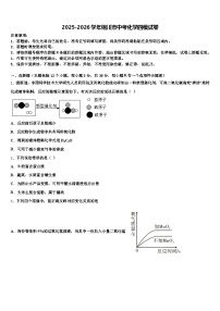 2025-2026学年铜川市中考化学四模试卷（含答案解析）
