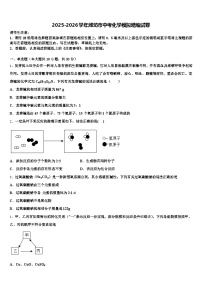 2025-2026学年潍坊市中考化学模拟精编试卷（含答案解析）