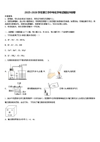 2025-2026学年湛江市中考化学考试模拟冲刺卷（含答案解析）
