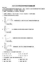 2025-2026学年长沙市中考化学全真模拟试卷（含答案解析）