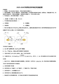 2025-2026学年肇庆市中考化学五模试卷（含答案解析）