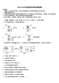 2025-2026学年自贡市中考化学模试卷（含答案解析）