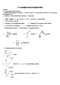 2026届成都市中考化学考试模拟冲刺卷（含答案解析）