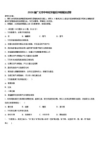2026届广元市中考化学最后冲刺模拟试卷（含答案解析）