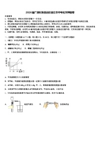 2026届广西壮族自治区崇左市中考化学押题卷（含答案解析）