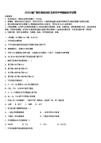 2026届广西壮族自治区玉林市中考猜题化学试卷（含答案解析）