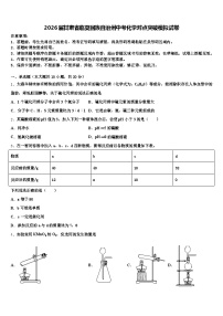 2026届甘肃省临夏回族自治州中考化学对点突破模拟试卷（含答案解析）