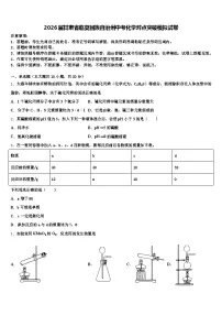 2026届甘肃省临夏回族自治州中考化学对点突破模拟试卷（含答案解析）