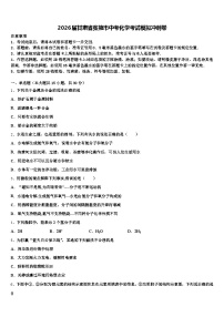 2026届甘肃省张掖市中考化学考试模拟冲刺卷（含答案解析）