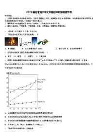 2026届河北省中考化学最后冲刺浓缩精华卷（含答案解析）