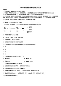 2026届海南省中考化学仿真试卷（含答案解析）