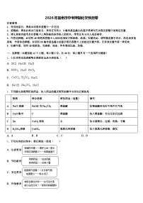 2026年宿州市中考押题化学预测卷（含答案解析）