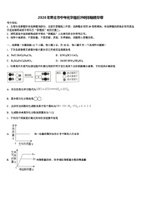 2026年枣庄市中考化学最后冲刺浓缩精华卷（含答案解析）