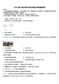2026年浙江省台州市中考化学最后冲刺浓缩精华卷（含答案解析）