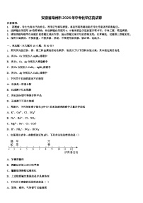 安徽省亳州市2026年中考化学仿真试卷（含答案解析）