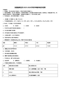 安徽省淮北市2025-2026学年中考联考化学试卷（含答案解析）