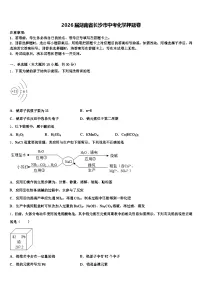 2026届湖南省长沙市中考化学押题卷（含答案解析）