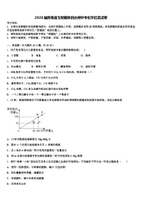 2026届青海省玉树藏族自治州中考化学仿真试卷（含答案解析）