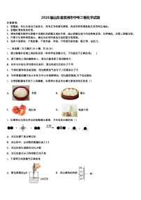 2026届山东省滨州市中考三模化学试题（含答案解析）