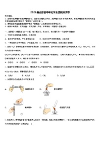 2026届山东省中考化学全真模拟试卷（含答案解析）