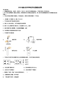 2026届汕头市中考化学全真模拟试卷（含答案解析）