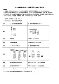 2026届四川省内江市中考适应性考试化学试题（含答案解析）