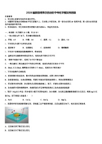 2026届新疆维吾尔自治区中考化学模拟预测题（含答案解析）