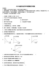 2026届驻马店市中考四模化学试题（含答案解析）