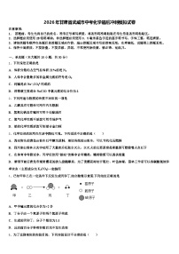 2026年甘肃省武威市中考化学最后冲刺模拟试卷（含答案解析）
