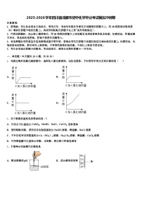 2025-2026学年四川省成都市初中化学毕业考试模拟冲刺卷（含答案解析）