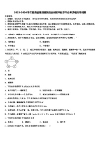 2025-2026学年青海省果洛藏族自治州初中化学毕业考试模拟冲刺卷（含答案解析）