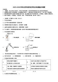 2025-2026学年云浮市初中化学毕业考试模拟冲刺卷（含答案解析）