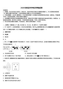 2026年淮北市中考化学押题试卷（含答案解析）