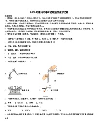 2026年惠州市中考试题猜想化学试卷（含答案解析）