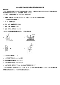 2026年辽宁省本溪市中考化学模拟预测试卷（含答案解析）