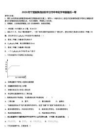 2026年宁夏回族自治区中卫市中考化学考前最后一卷（含答案解析）