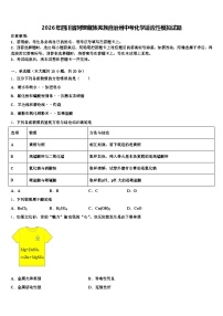 2026年四川省阿坝藏族羌族自治州中考化学适应性模拟试题（含答案解析）
