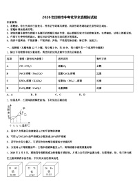 2026年日照市中考化学全真模拟试题（含答案解析）